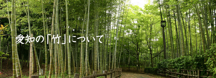 愛知の「竹」について